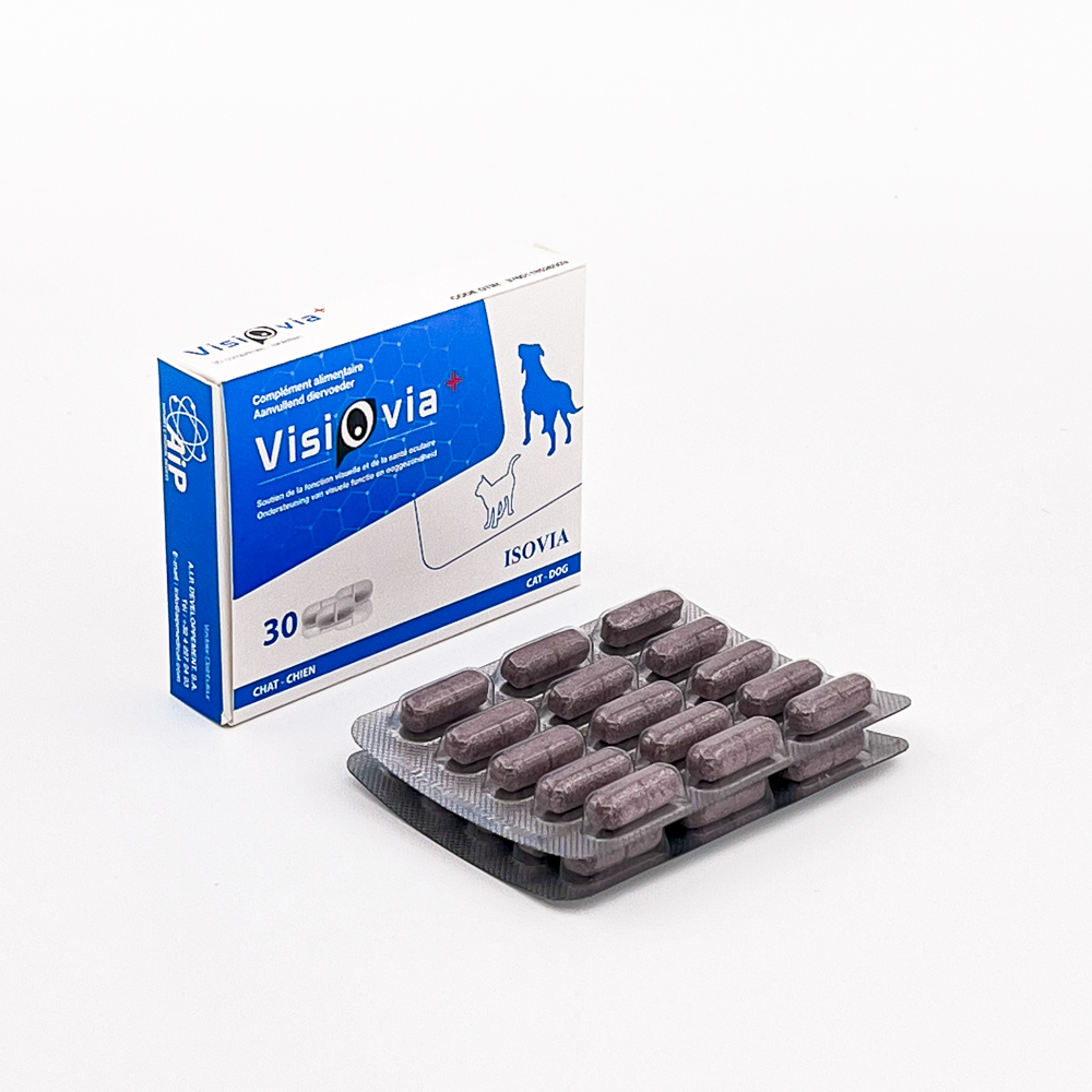 Visiovia