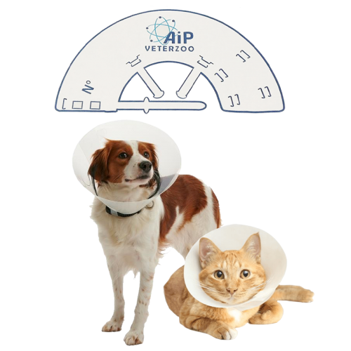 [DC075] Carcans (7,5 cm)