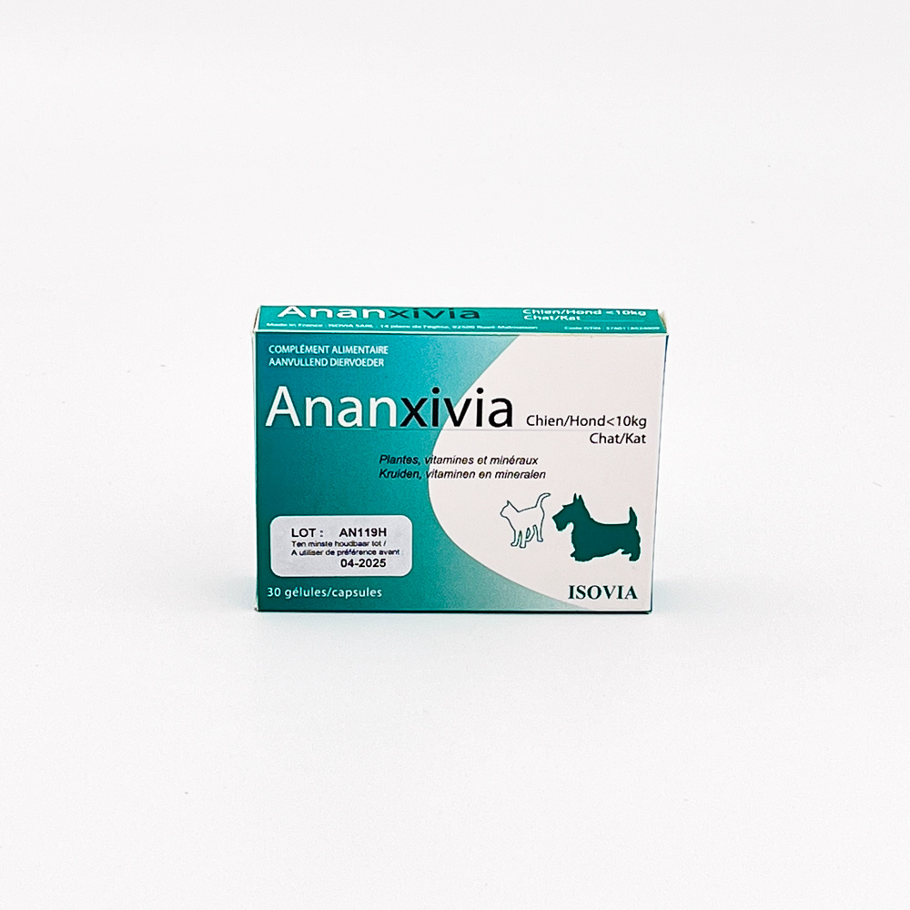 Ananxivia