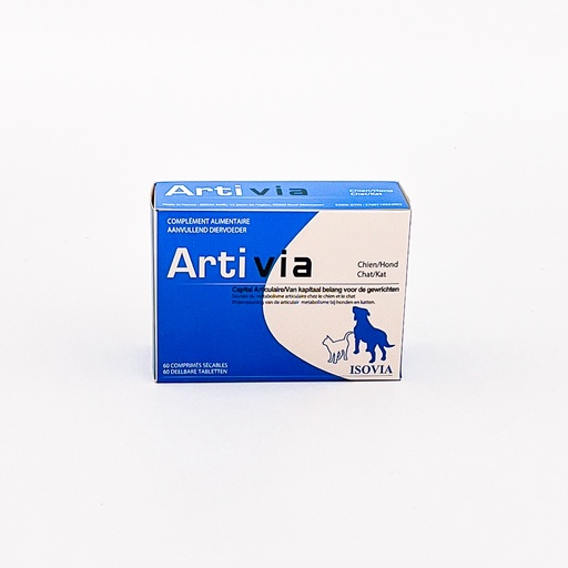 [ART001] Artivia